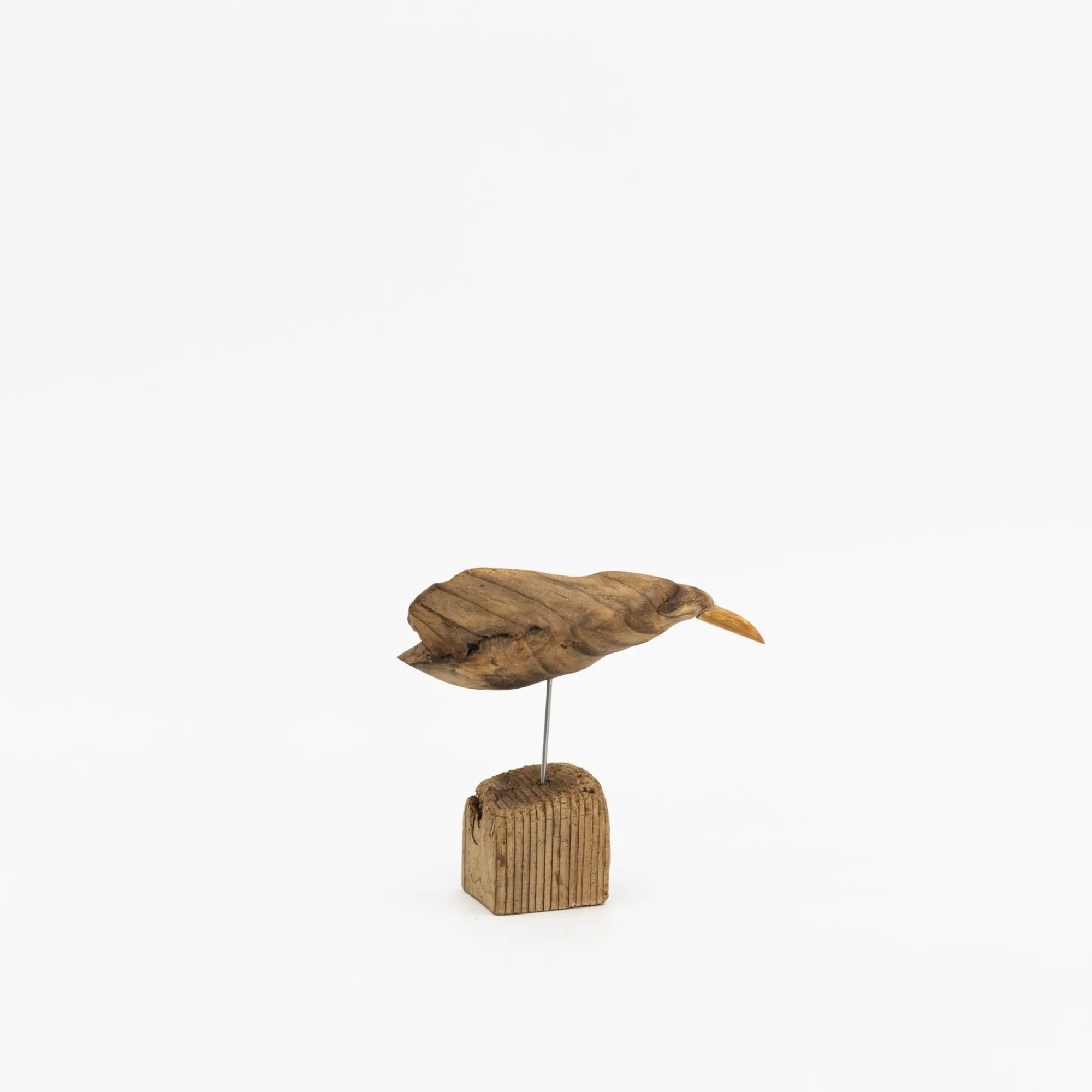 TORTOISE-yellow paper Osamu Harihara Art*Osamu Harihara Driftwood Birds