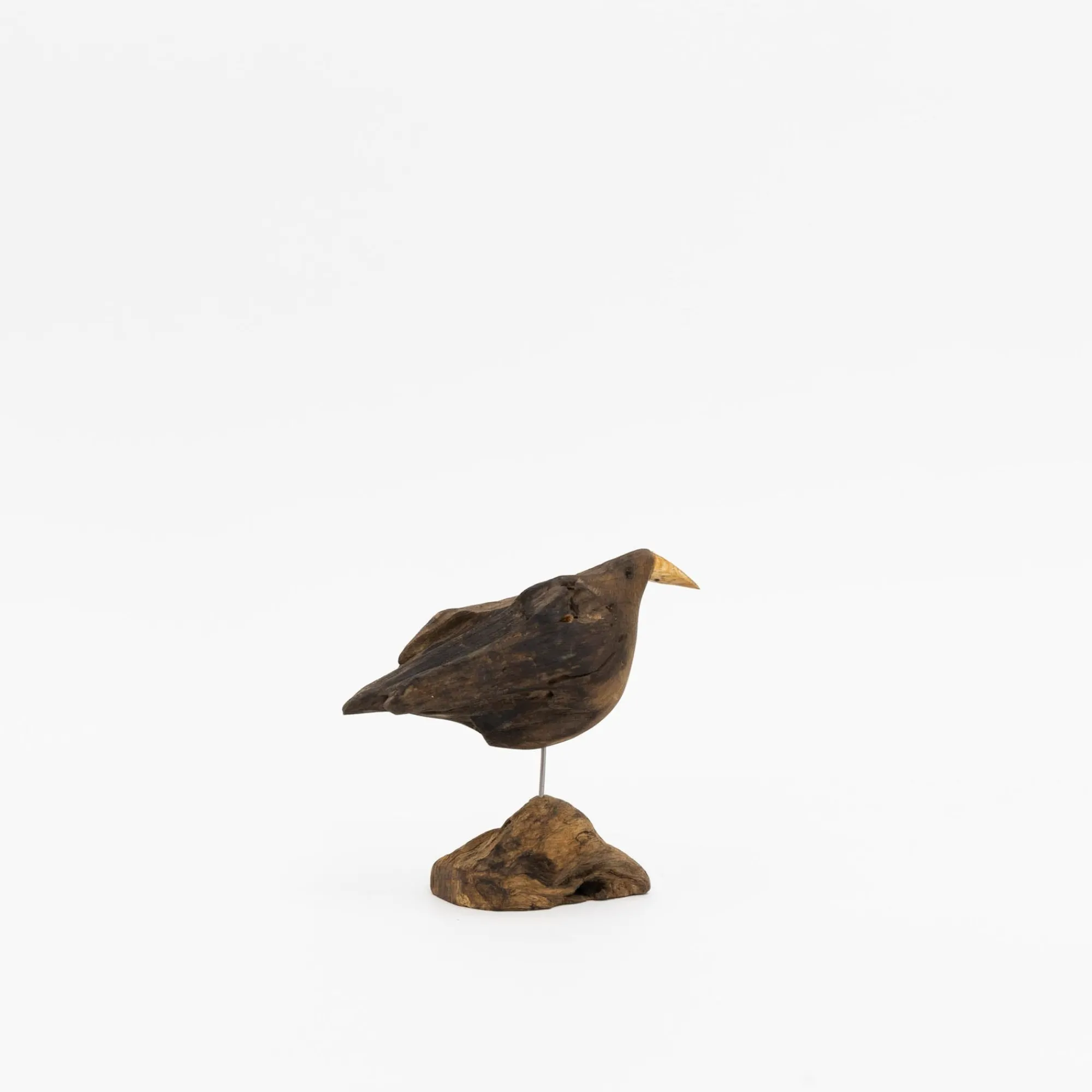 TORTOISE-yellow paper Osamu Harihara Art*Osamu Harihara Driftwood Birds