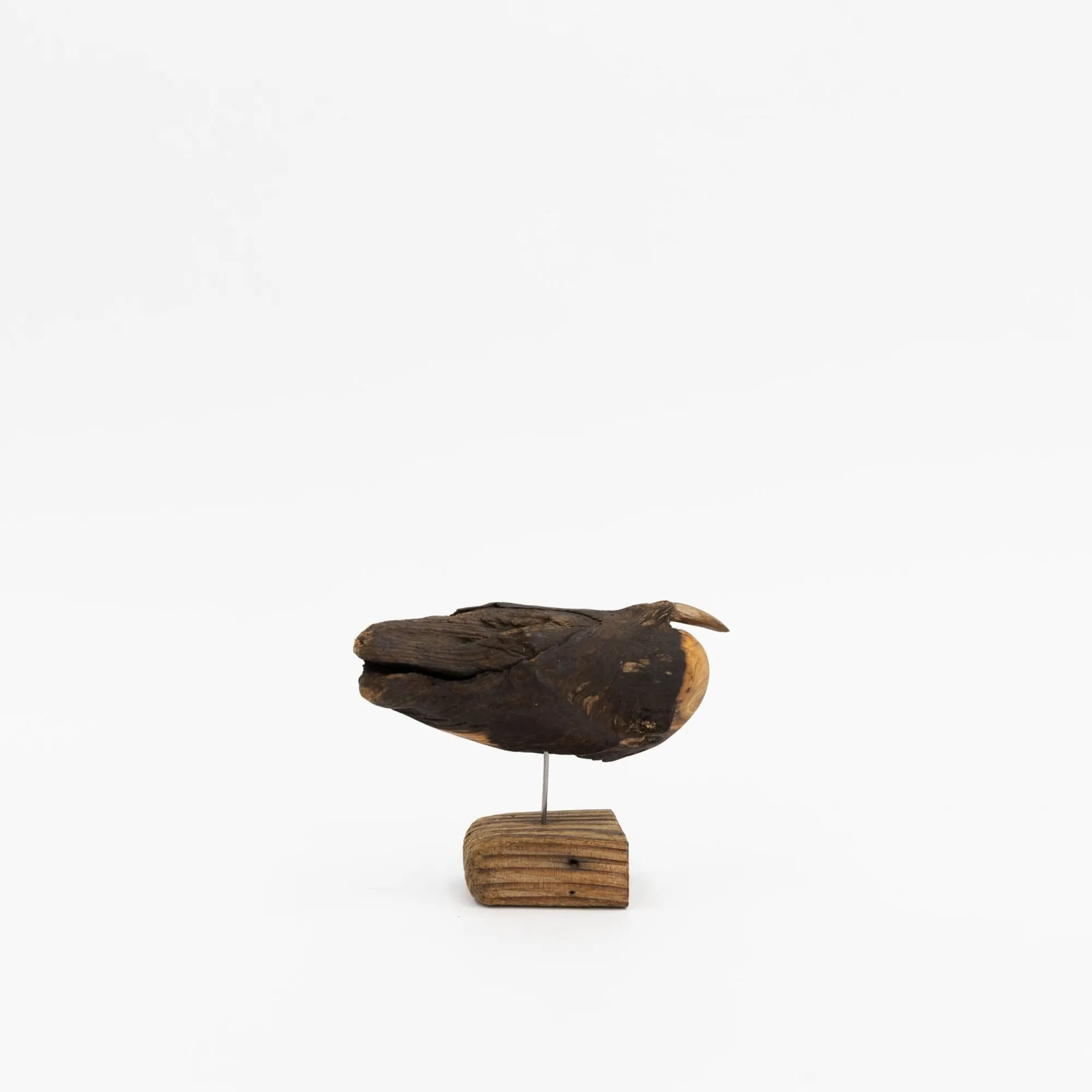 TORTOISE-yellow paper Osamu Harihara Art*Osamu Harihara Driftwood Birds
