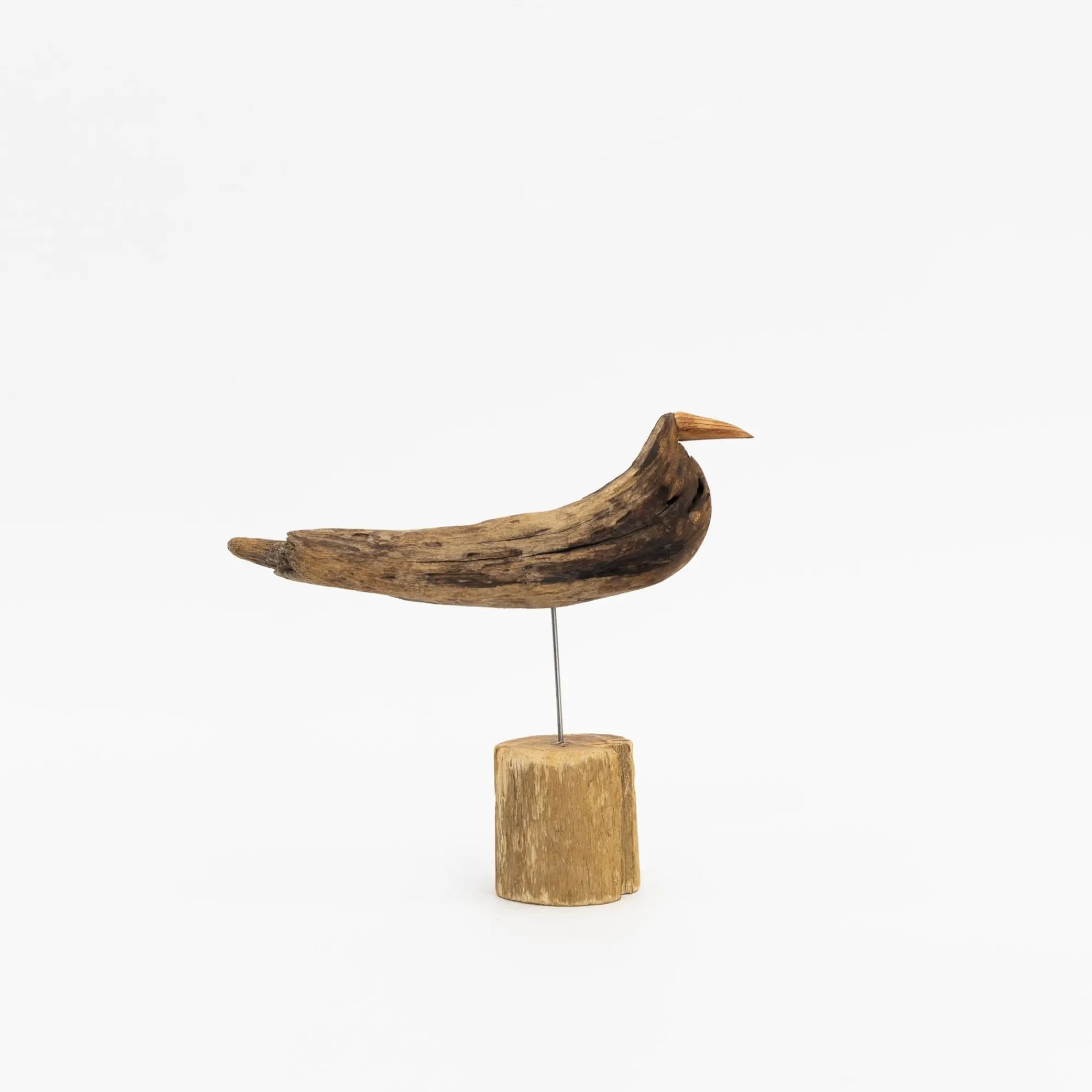TORTOISE-yellow paper Osamu Harihara Art*Osamu Harihara Driftwood Birds