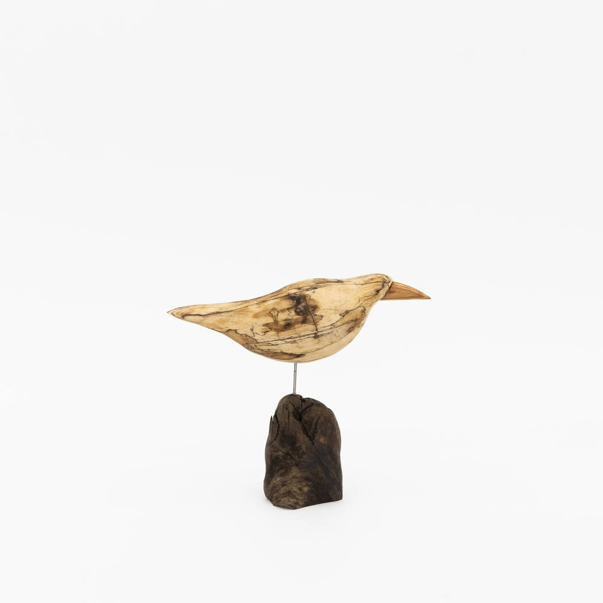 TORTOISE-yellow paper Osamu Harihara Art*Osamu Harihara Driftwood Birds