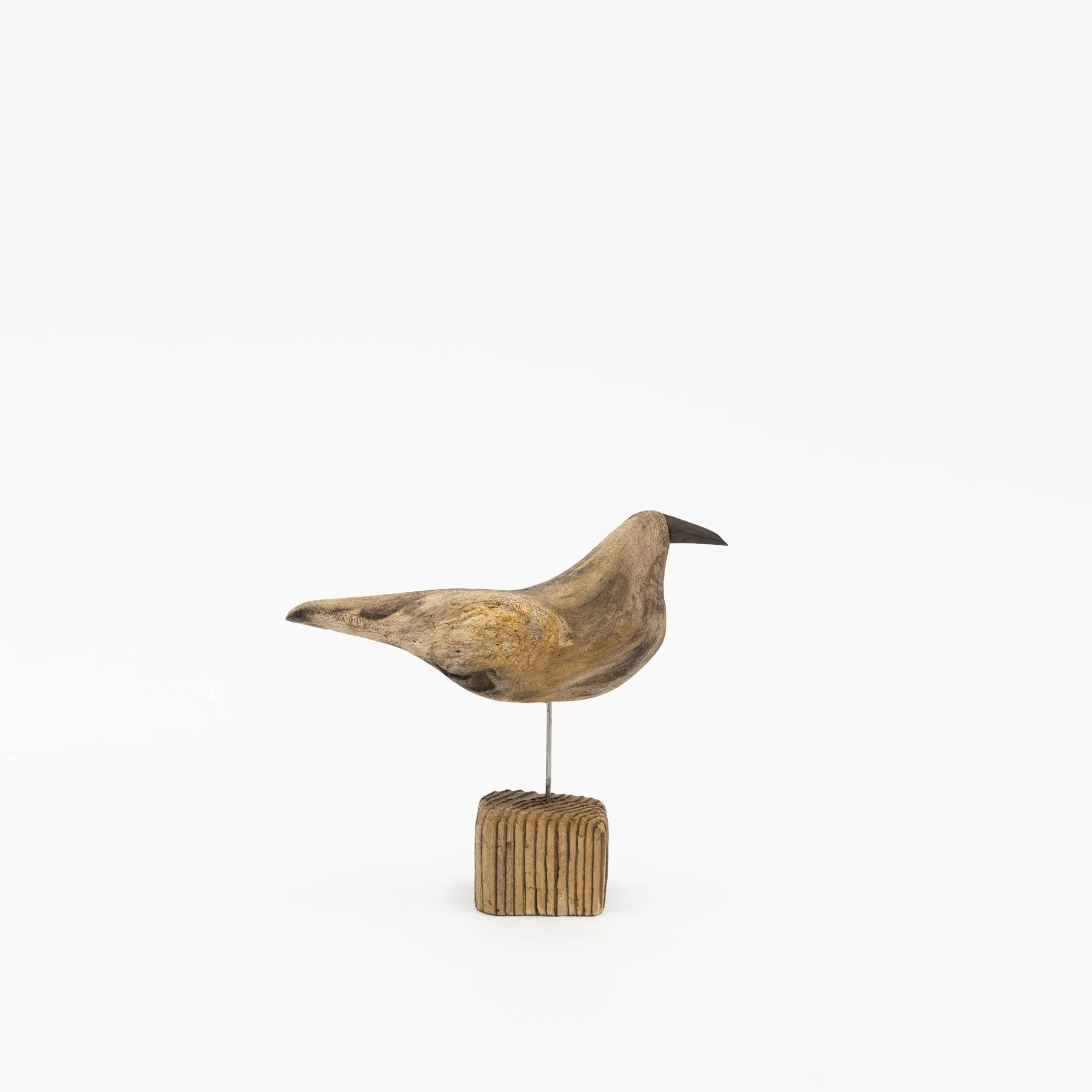 TORTOISE-yellow paper Osamu Harihara Art*Osamu Harihara Driftwood Birds