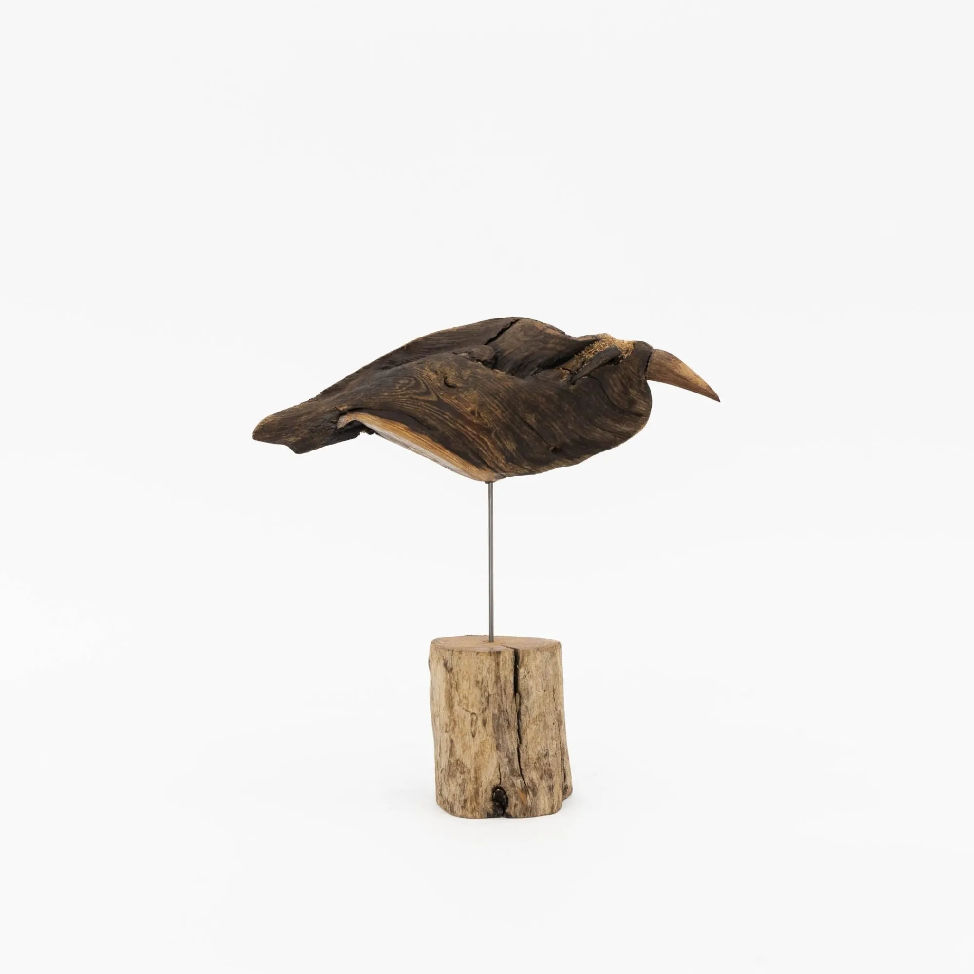 TORTOISE-yellow paper Osamu Harihara Art*Osamu Harihara Driftwood Birds