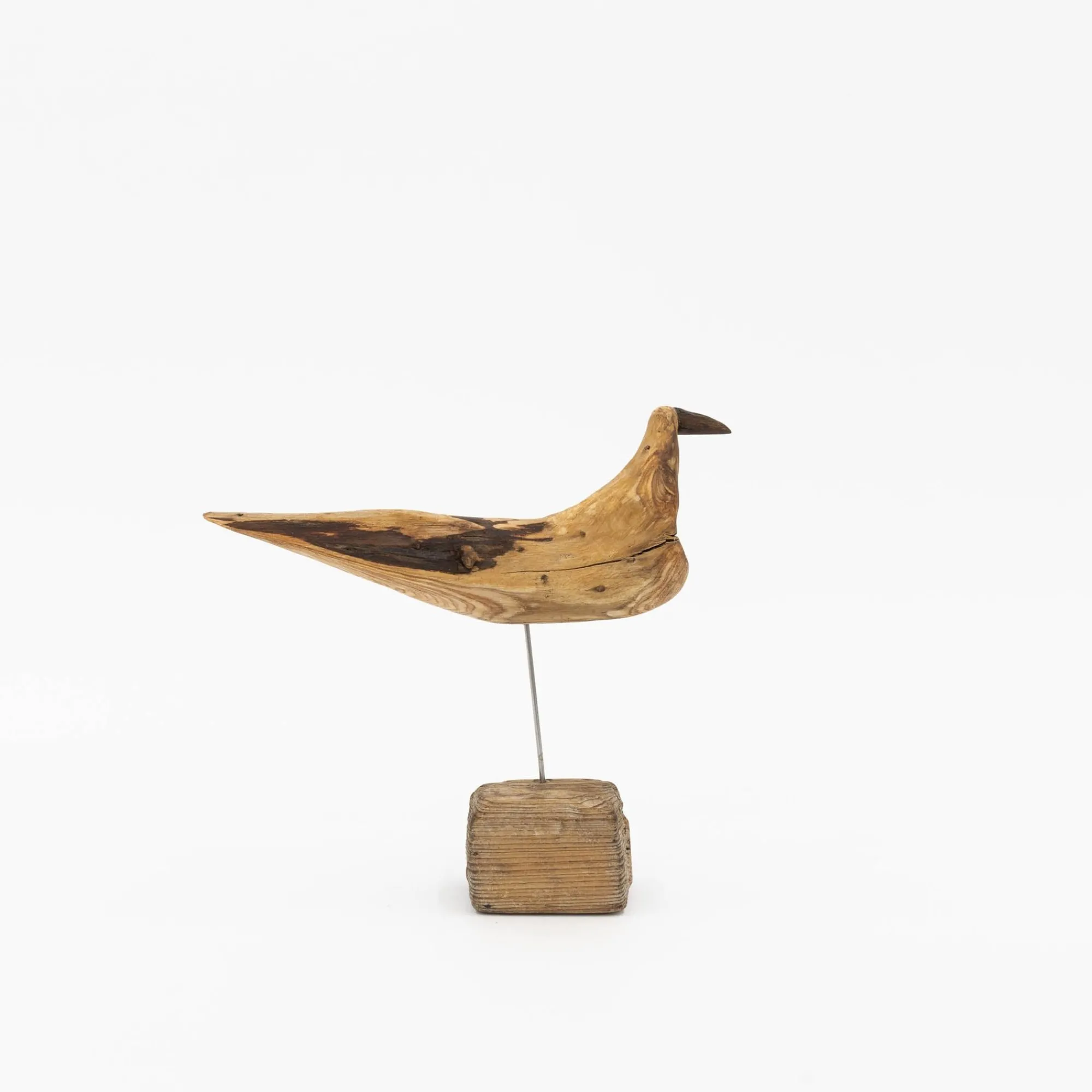 TORTOISE-yellow paper Osamu Harihara Art*Osamu Harihara Driftwood Birds
