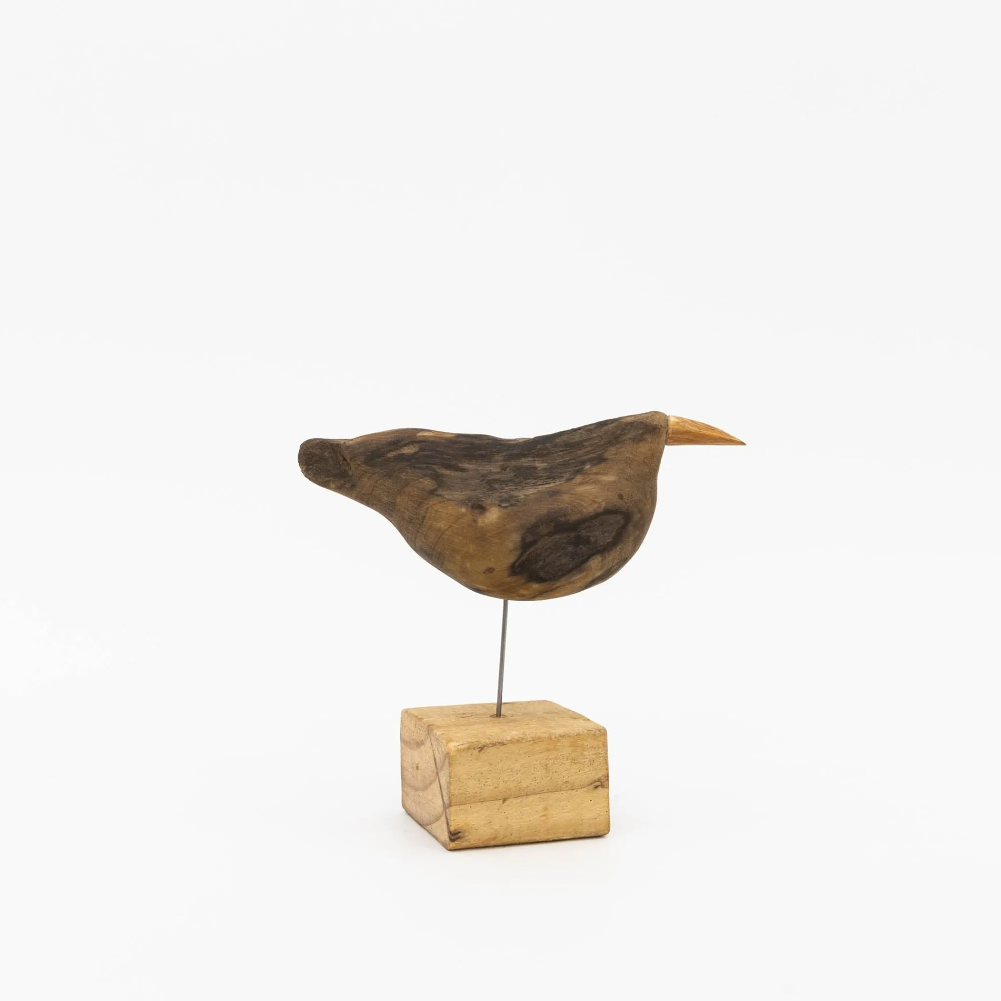 TORTOISE-yellow paper Osamu Harihara Art*Osamu Harihara Driftwood Birds