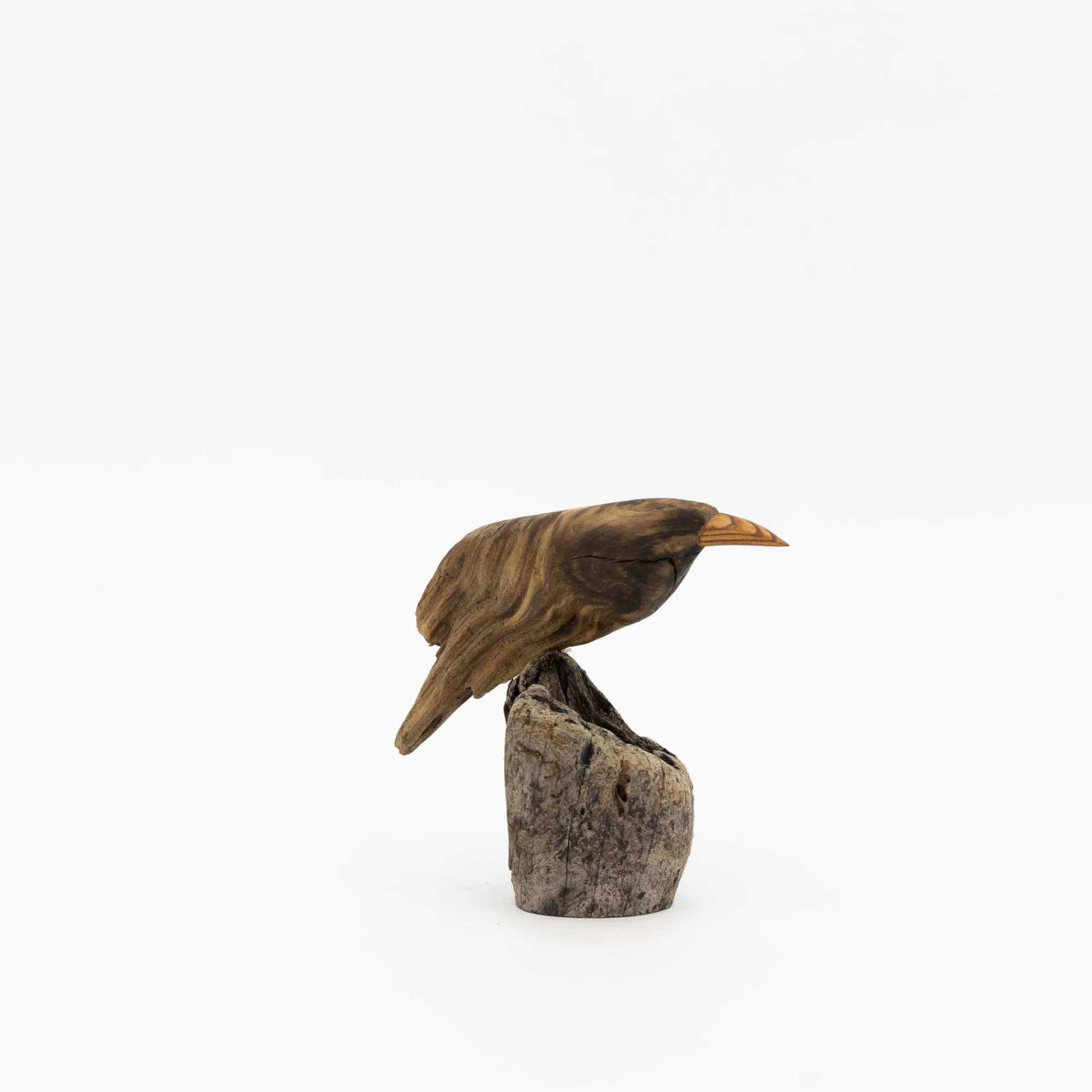 TORTOISE-yellow paper Osamu Harihara Art*Osamu Harihara Driftwood Birds