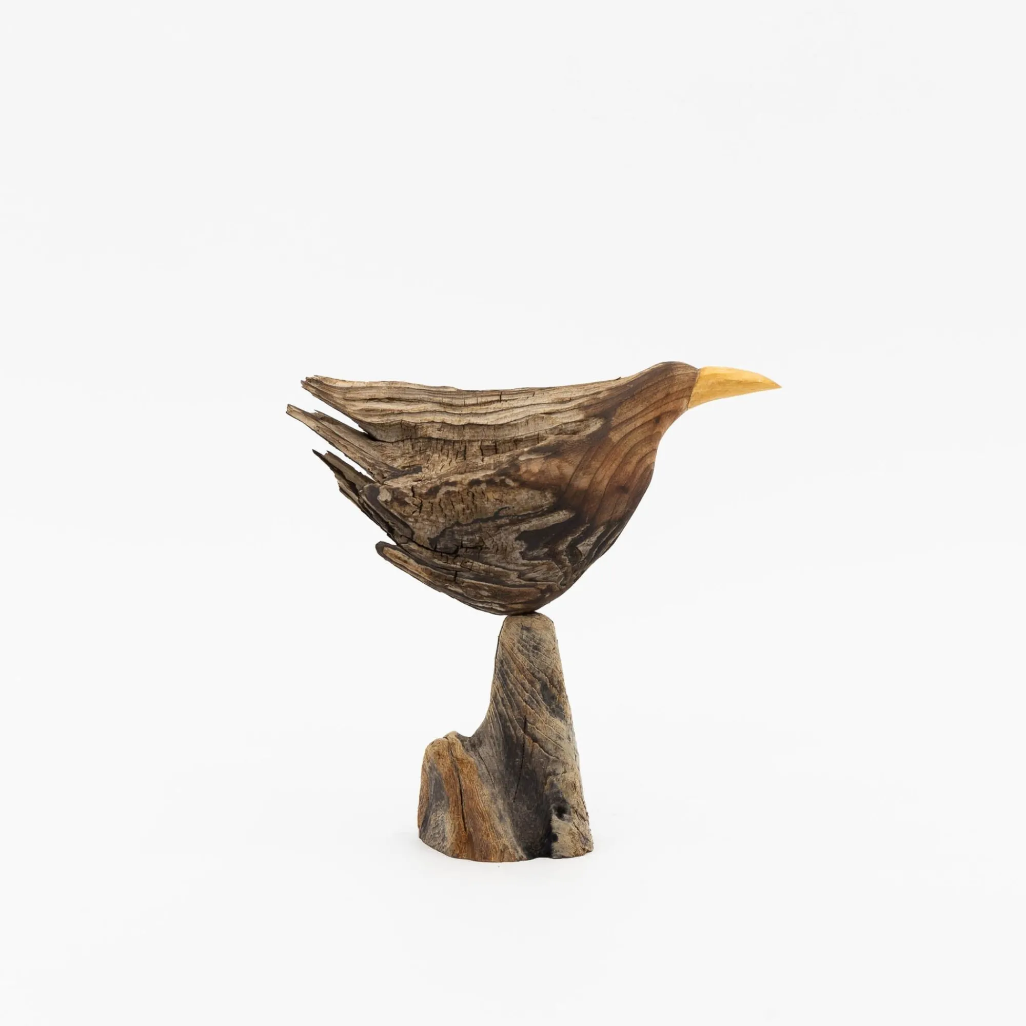 TORTOISE-yellow paper Osamu Harihara Art*Osamu Harihara Driftwood Birds