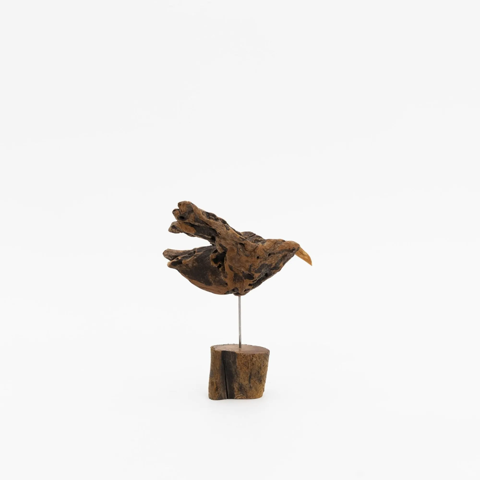 TORTOISE-yellow paper Osamu Harihara Art*Osamu Harihara Driftwood Birds
