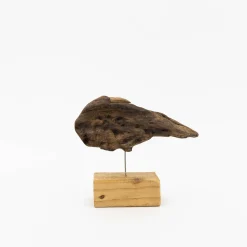 TORTOISE-yellow paper Osamu Harihara Art*Osamu Harihara Driftwood Birds
