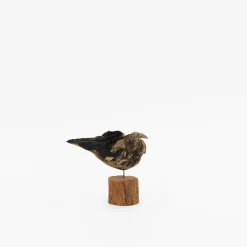 TORTOISE-yellow paper Osamu Harihara Art*Osamu Harihara Driftwood Birds