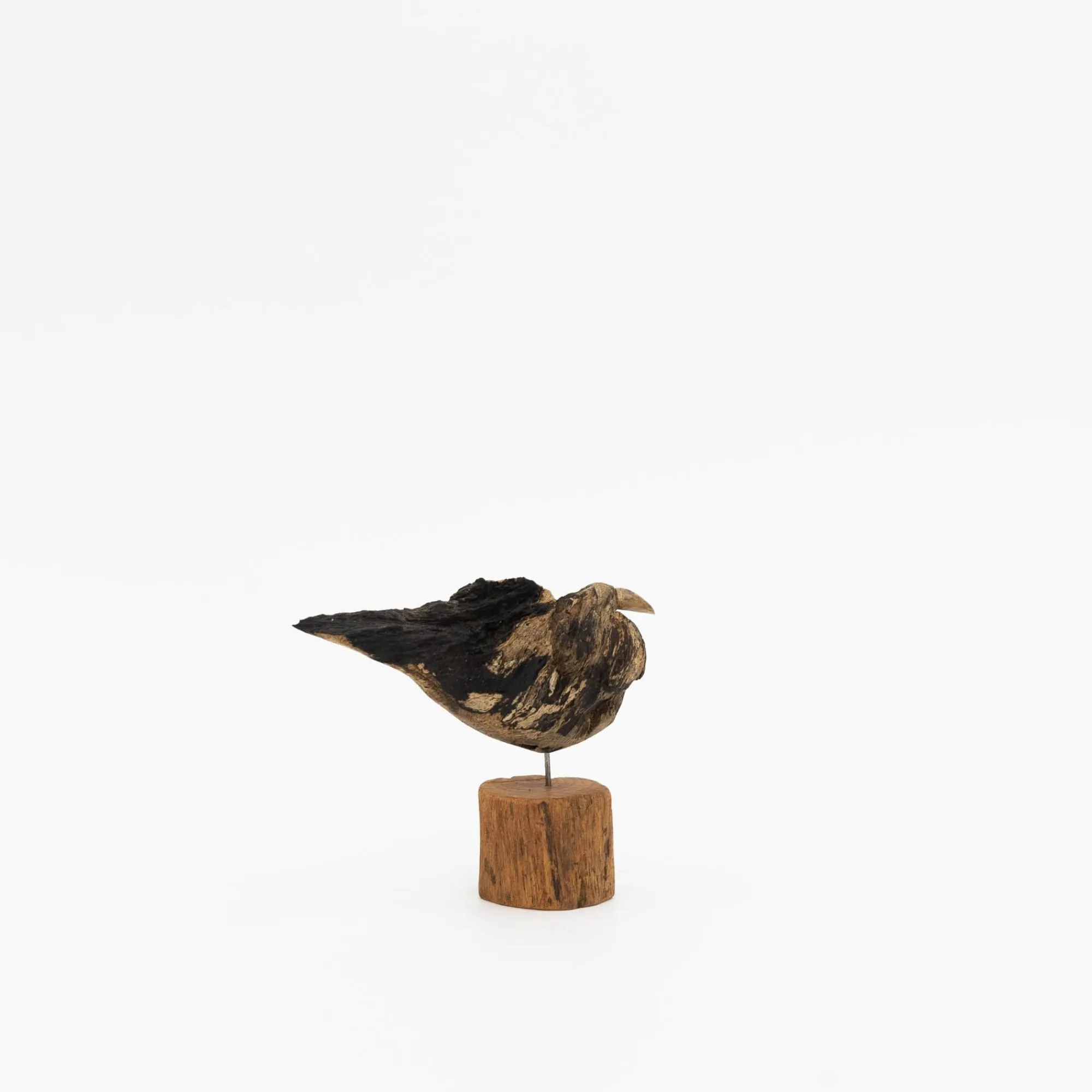 TORTOISE-yellow paper Osamu Harihara Art*Osamu Harihara Driftwood Birds