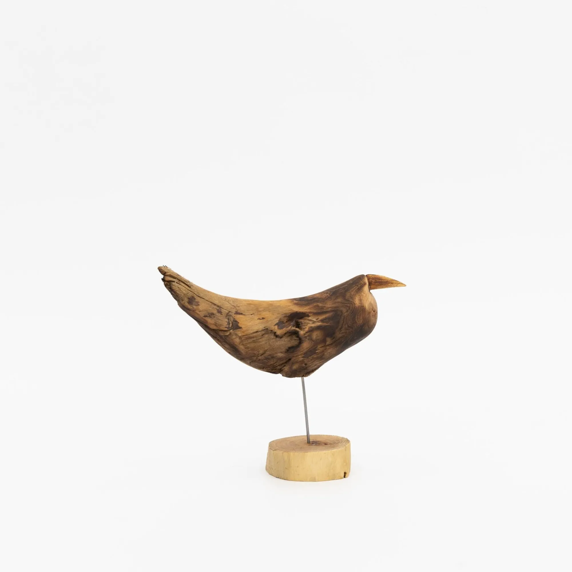 TORTOISE-yellow paper Osamu Harihara Art*Osamu Harihara Driftwood Birds