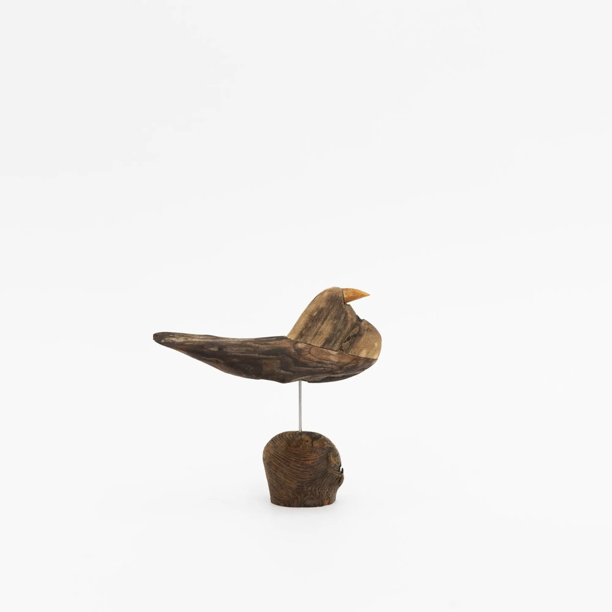 TORTOISE-yellow paper Osamu Harihara Art*Osamu Harihara Driftwood Birds