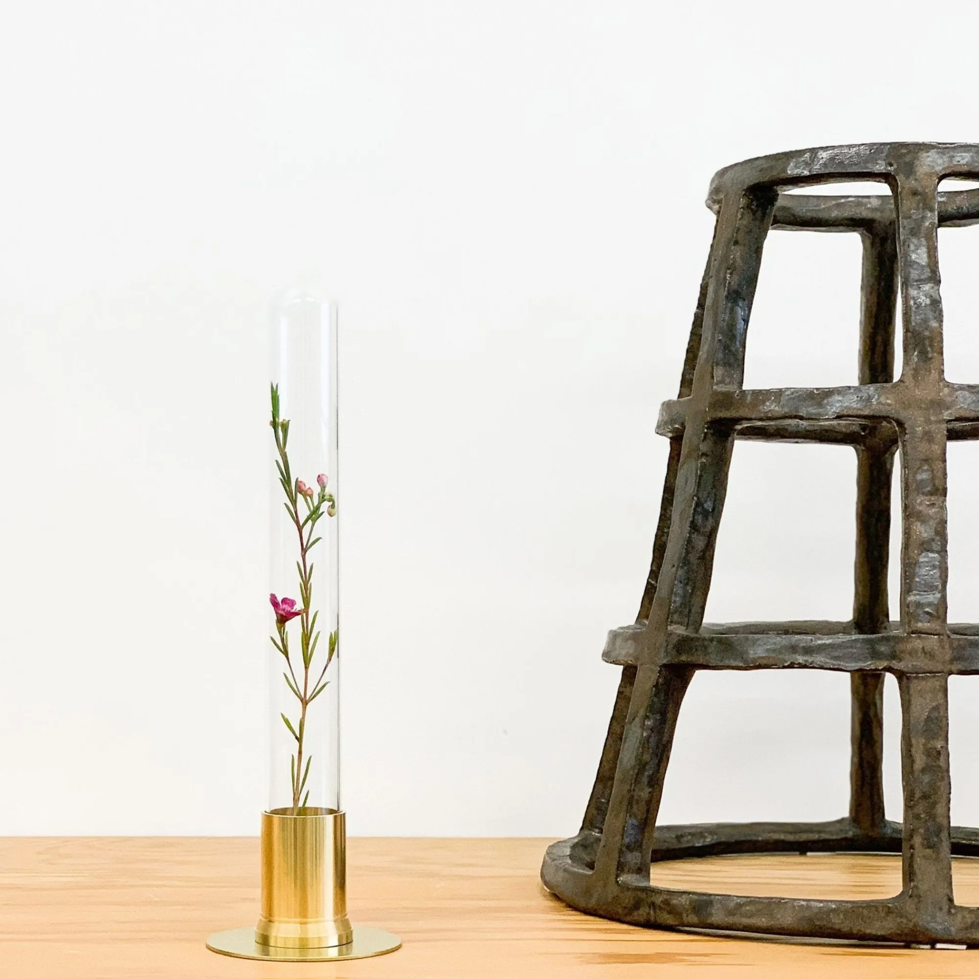 TORTOISE-yellow paper Home Decor*Picus Brass Terrarium