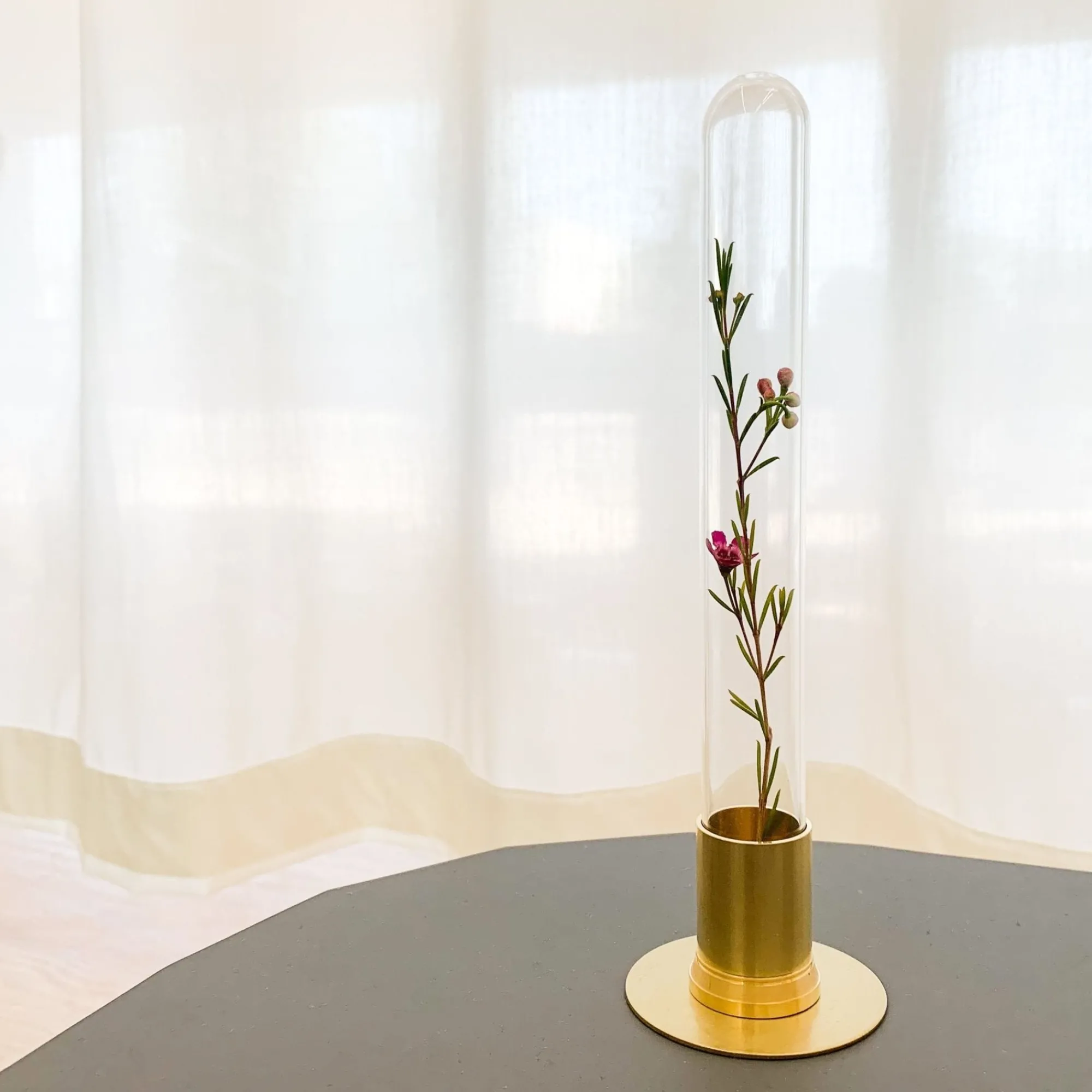 TORTOISE-yellow paper Home Decor*Picus Brass Terrarium