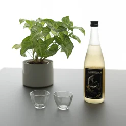 tortoise general store Sake Gift Set*Sake Gift Set - Mb Junami Genshu + 2 Glasses