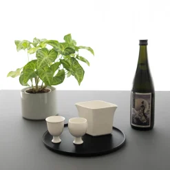 tortoise general store Sake Gift Set*Sake Gift Set - Mb Yamahai+ Ceramic 3 Pcs