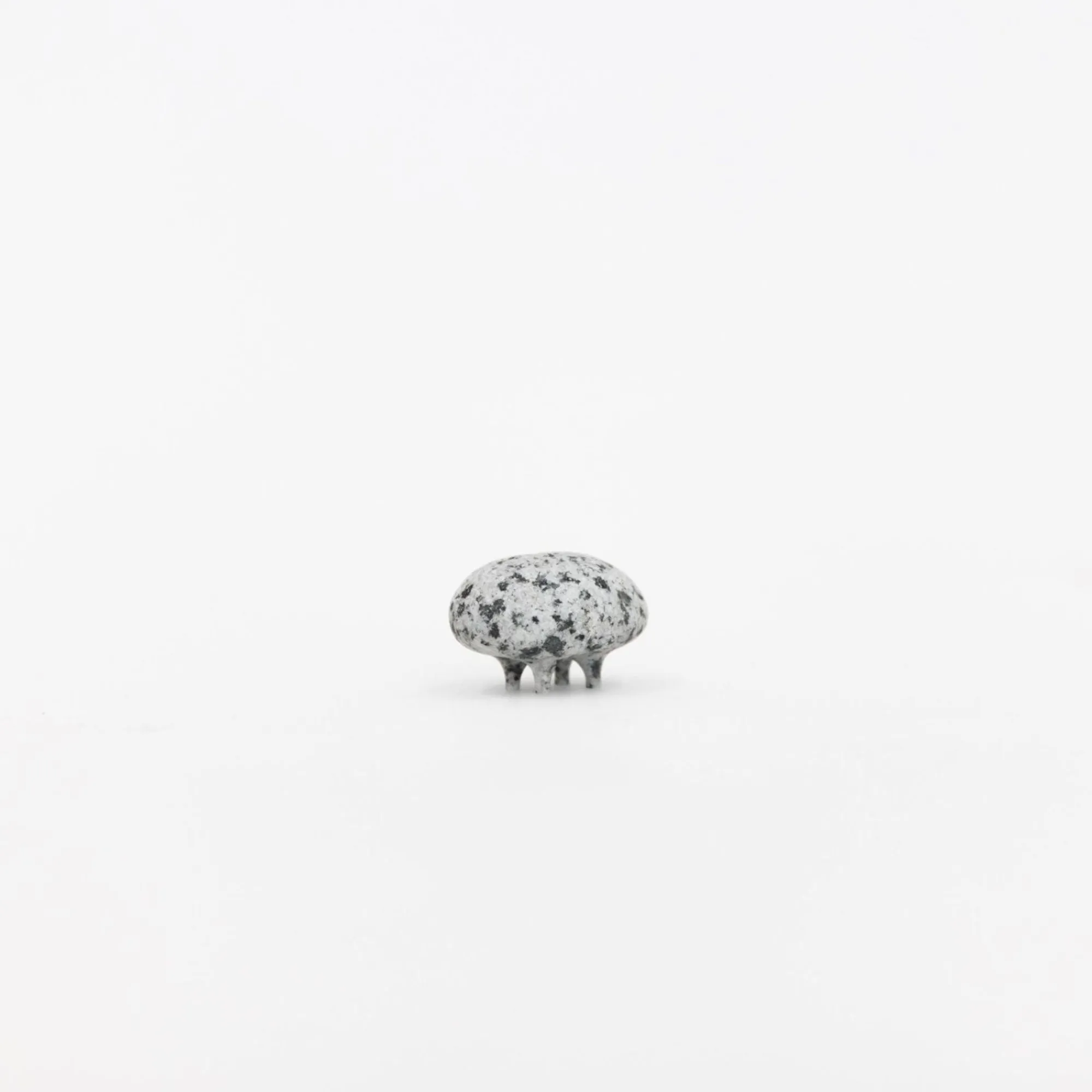 TORTOISE-Koga Art*Sea Stone Vases And Sea Stone With Legs By Mitsuru Koga