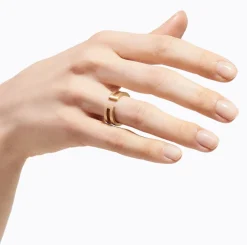 Tortoise-Shihara Jewelry*Shihara Bond Ring 02
