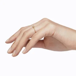 Tortoise-Shihara Jewelry*Shihara Classic Ring 04