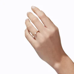 Tortoise-Shihara Jewelry*Shihara Classic Ring 02