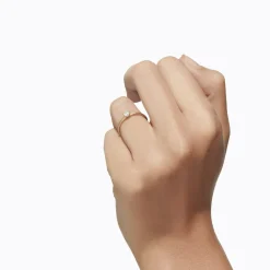 Tortoise-Shihara Jewelry*Shihara Classic Ring 02
