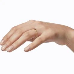 Tortoise-Shihara Jewelry*Shihara Classic Ring 02