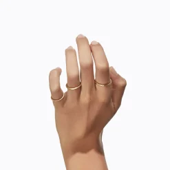 Tortoise-Shihara Jewelry*Shihara Line Ring 2.0