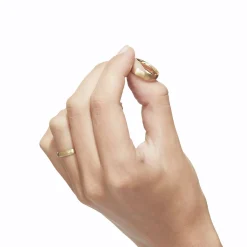 Tortoise-Shihara Jewelry*Shihara Oval Ring 45