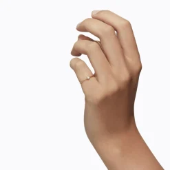 Tortoise-Shihara Jewelry*Shihara Petite Ring 01