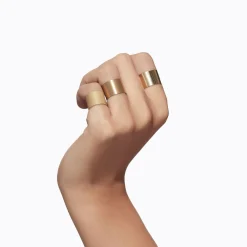 Tortoise-Shihara Jewelry*Shihara Plate Ring 12.5