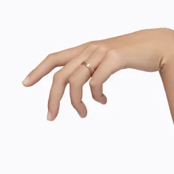 Tortoise-Shihara Jewelry*Shihara Trine Ring 01