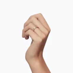 Tortoise-Shihara Jewelry*Shihara Trine Ring 03