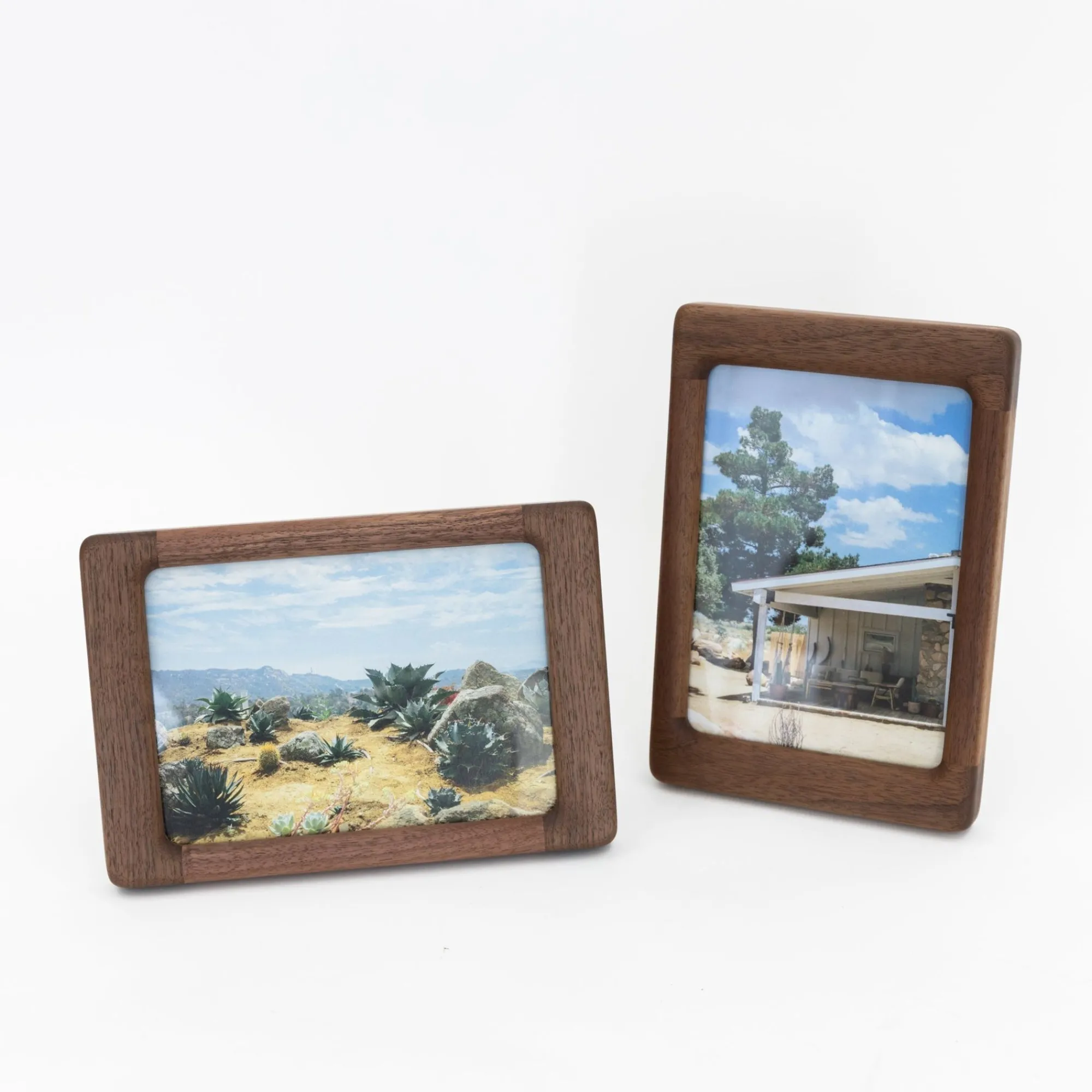 TORTOISE-yellow paper Snow Goose Home Decor*Snow Goose Wooden Picture Frame