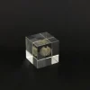 TORTOISE-yellow paper Sola Cube Home Decor*Sola Cube - Apple Of Peru