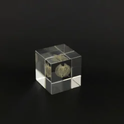 TORTOISE-yellow paper Sola Cube Home Decor*Sola Cube - Apple Of Peru