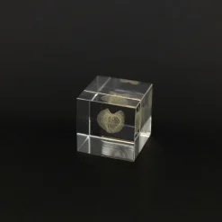 TORTOISE-yellow paper Sola Cube Home Decor*Sola Cube - Apple Of Peru