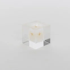 TORTOISE-yellow paper Sola Cube Home Decor*Sola Cube - Apple Of Peru