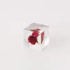 TORTOISE-yellow paper Sola Cube Home Decor*Sola Cube - Rose (Limited Edition)
