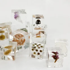 TORTOISE-yellow paper Sola Cube Home Decor*Sola Cubes - Minerals