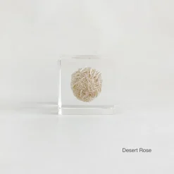 TORTOISE-yellow paper Sola Cube Home Decor*Sola Cubes - Minerals