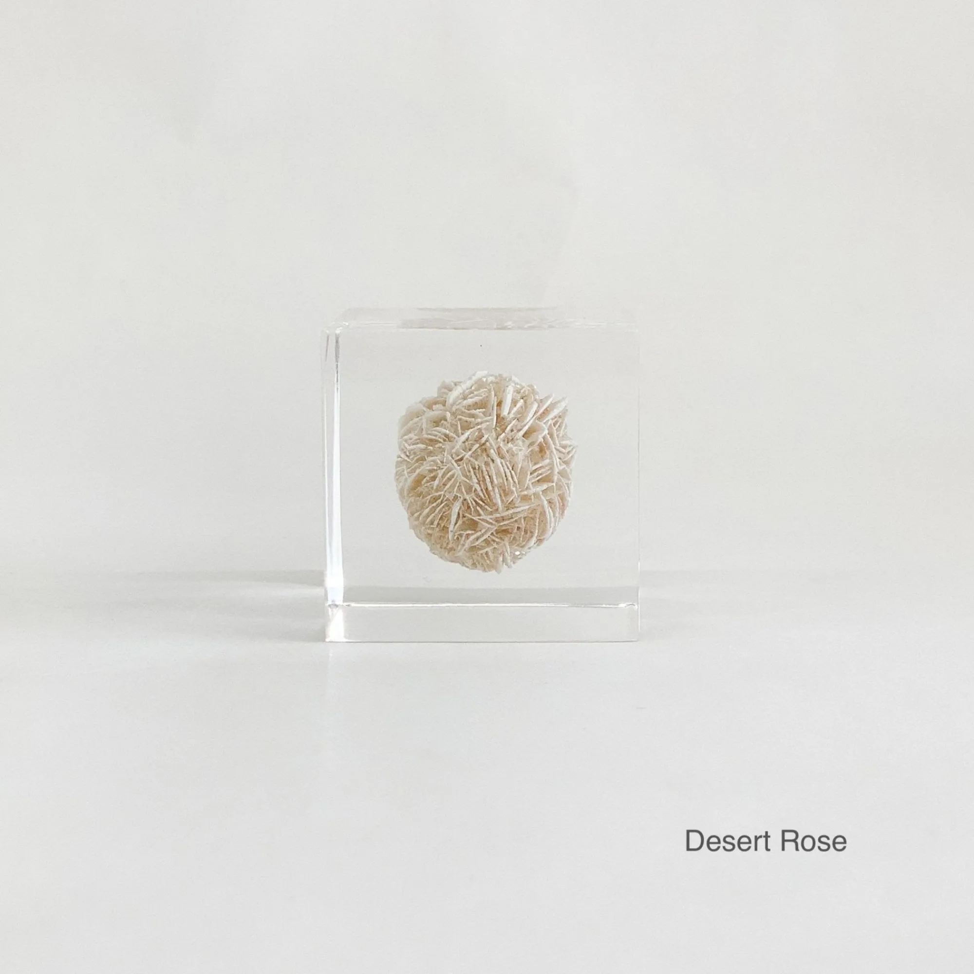 TORTOISE-yellow paper Sola Cube Home Decor*Sola Cubes - Minerals