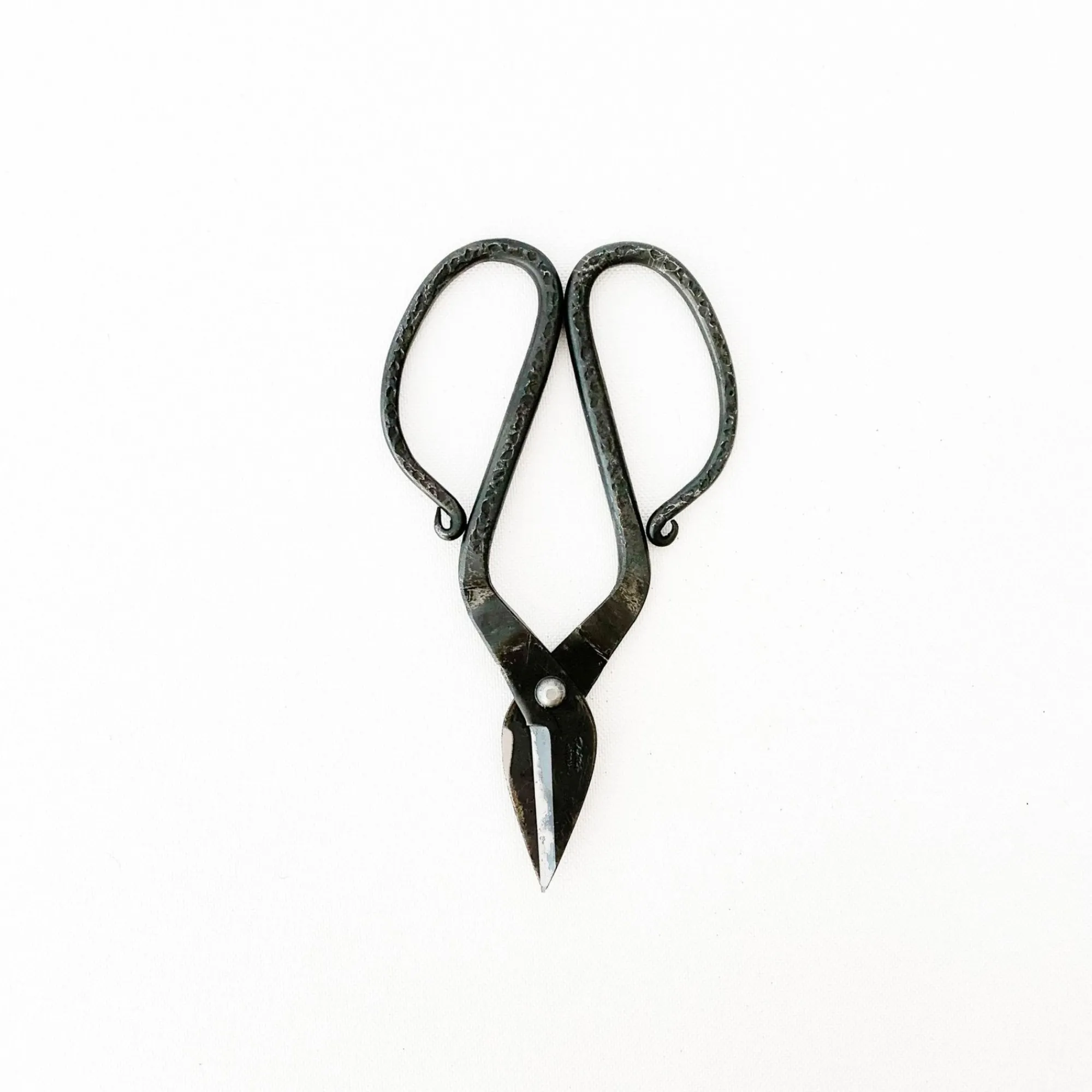 TORTOISE-yellow paper Tajika Outdoor*Tajika Branch Scissors