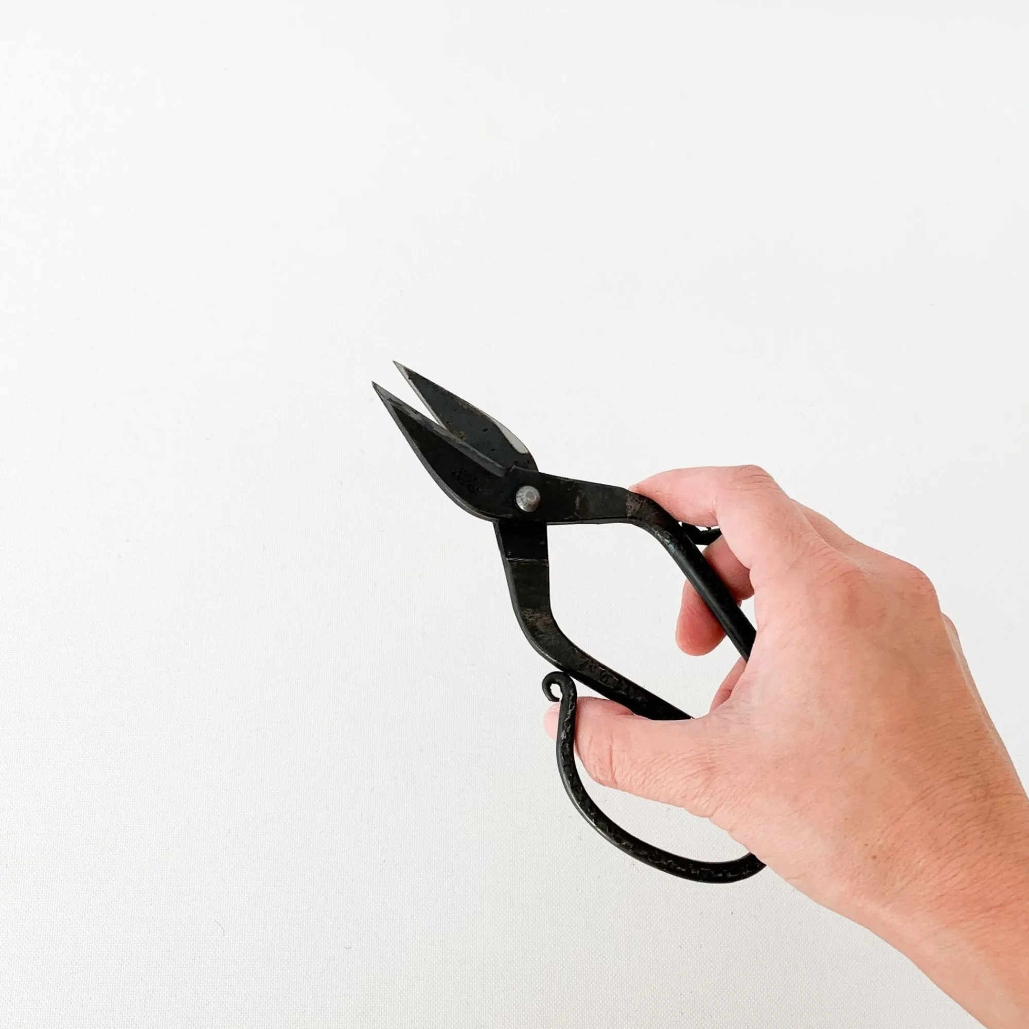 TORTOISE-yellow paper Tajika Outdoor*Tajika Branch Scissors