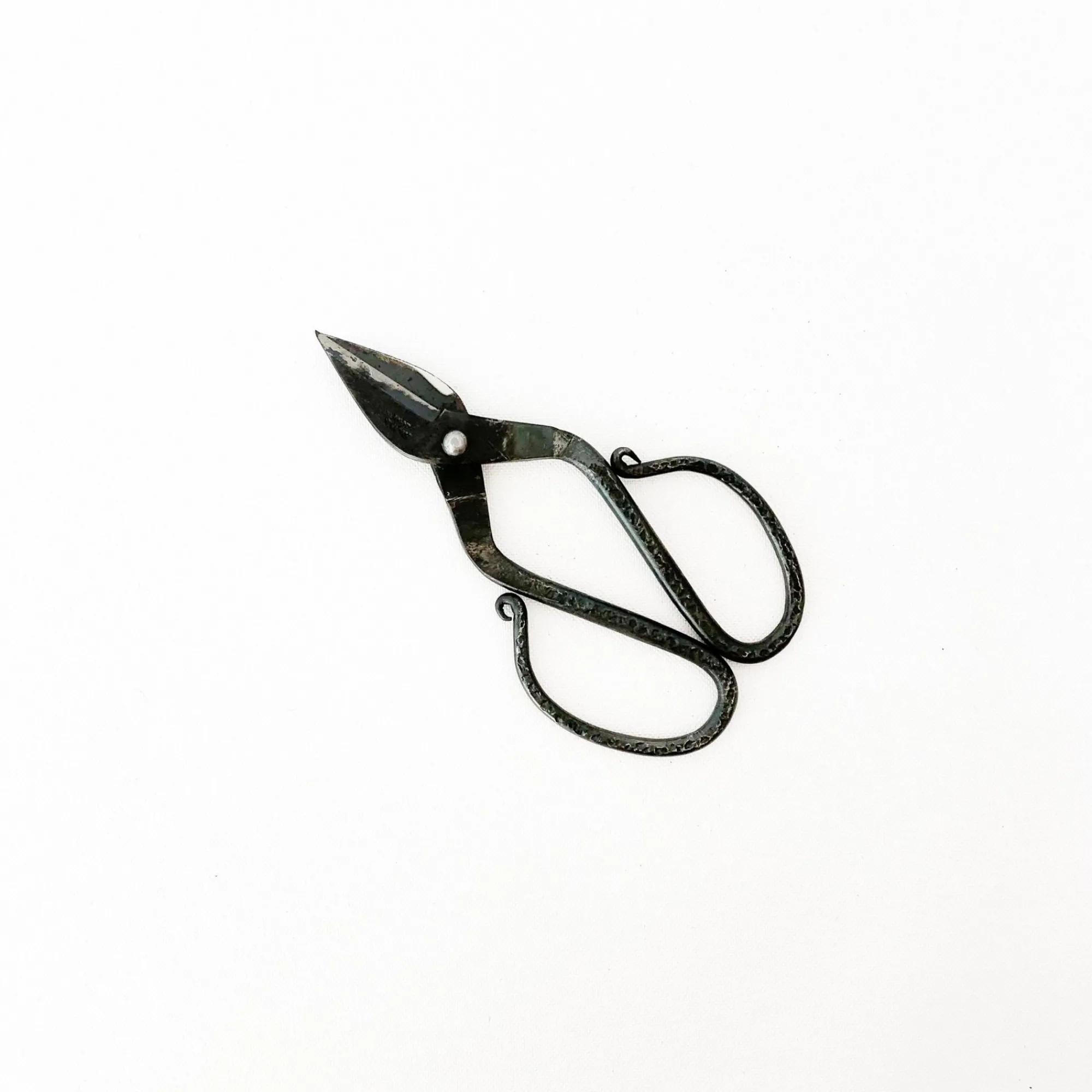 TORTOISE-yellow paper Tajika Outdoor*Tajika Branch Scissors