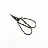 TORTOISE-yellow paper Tajika Outdoor*Tajika Flower Scissors