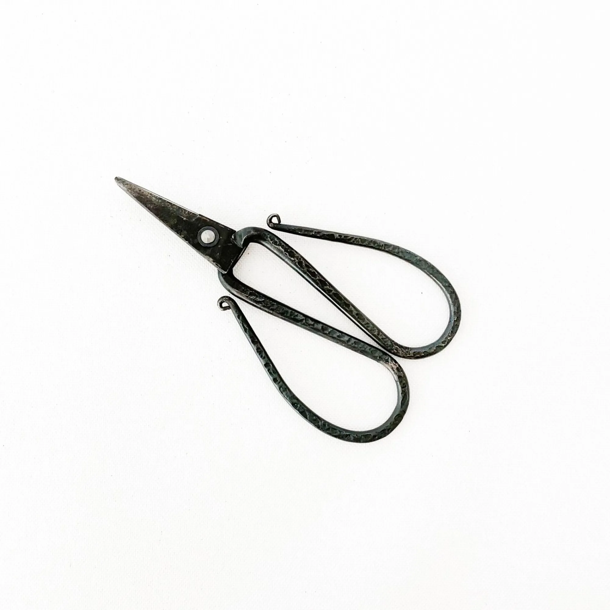 TORTOISE-yellow paper Tajika Outdoor*Tajika Flower Scissors