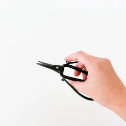 TORTOISE-yellow paper Tajika Outdoor*Tajika Flower Scissors