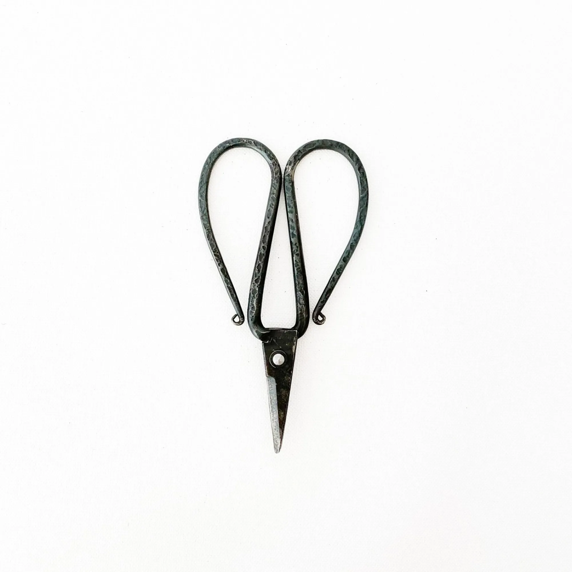 TORTOISE-yellow paper Tajika Outdoor*Tajika Flower Scissors