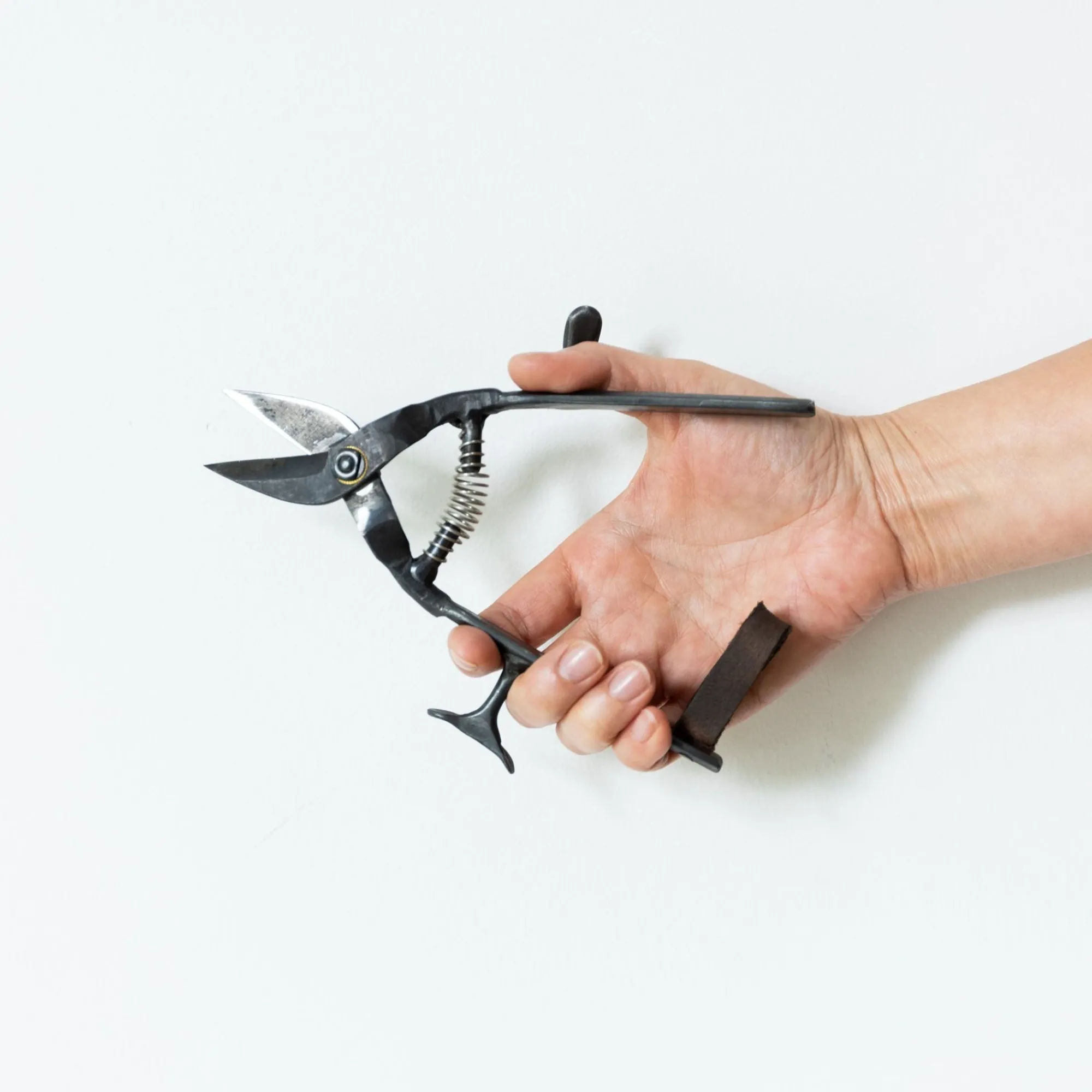 TORTOISE-yellow paper Tajika Outdoor*Tajika Garden Scissors